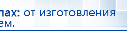 Пояс электрод купить в Павлово, Выносные электроды купить в Павлово, Дэнас официальный сайт denasolm.ru